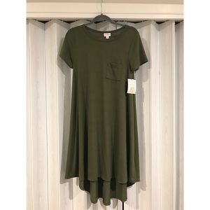 BRAND NEW WITH TAGS 🏷 LuLaRoe Carley Dress